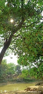 Mukundpur