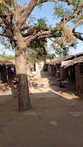Panarwa