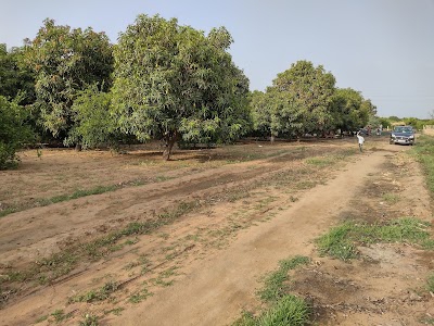 Shivpur