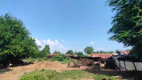 Bhilodiya