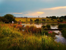 Walkhaven Dog Park