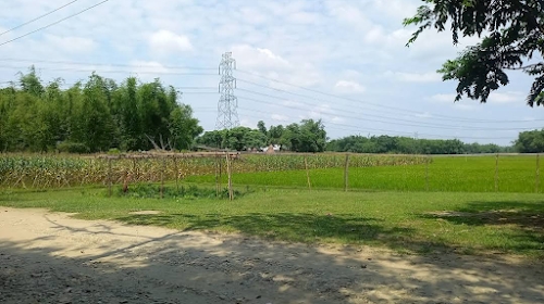 Poultry farm