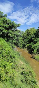Nalkhamara