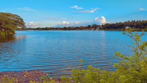 Gobardanga Media Lake