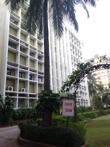 Pharma Search House