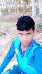 Dharoli