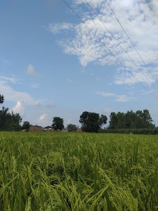 Masjid e abuwaqar