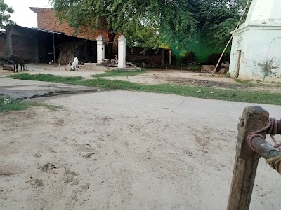 Nagla Layak
