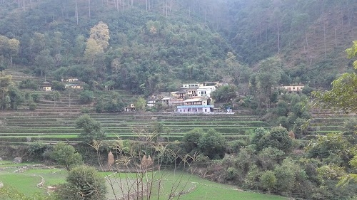 Jakhanyali