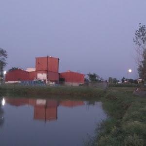 Buddha Dana Udhyog