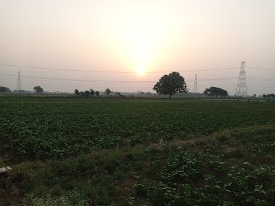 Sajeti