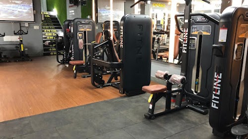 Bold Gains