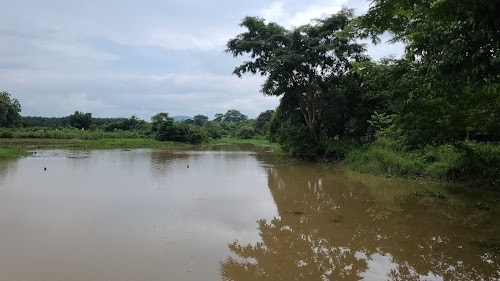 Dudhnoi