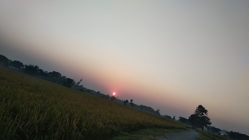 Tarkulwa tiwari