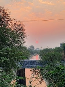 Dhamnod