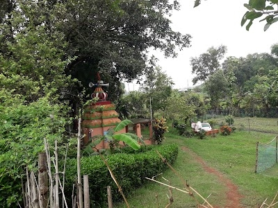 Biridi