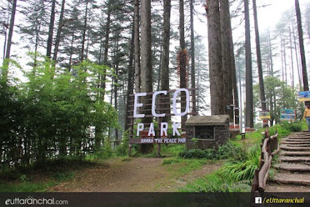 Eco Park