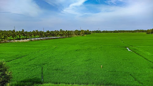 Mukkada marachuvadu