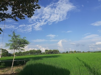 Bhoota