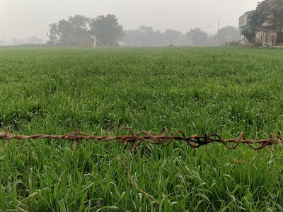 Shahpur Kalan