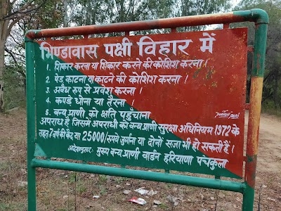 Bhindawas Bird Sanctuary