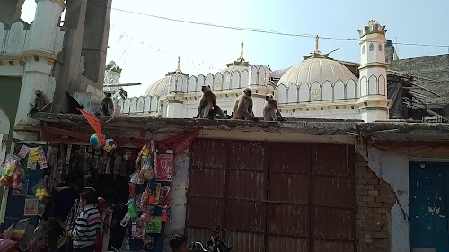 Adampur Chowk