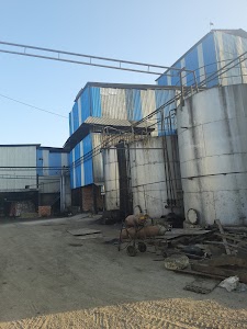 Mahakali Agro Industries Limited