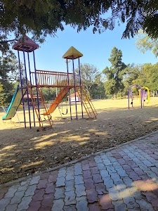 Sector 28 Garden