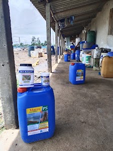 Basudevpur Fish Market