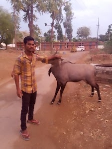 Maa Parwati dhaba