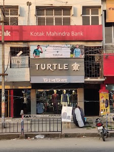 TURTLE