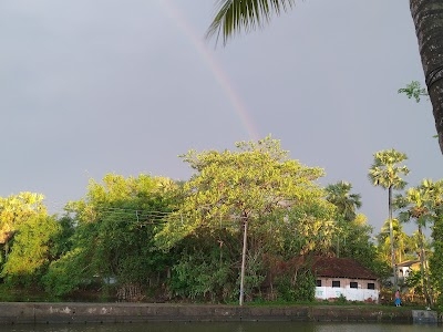 Kurit