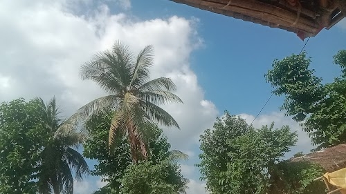 Manganj East