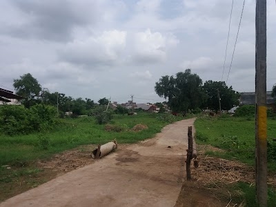 Bithali