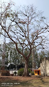 Lohardaga Bus Stand