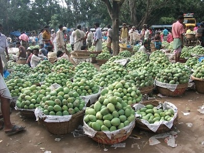 Bholahat