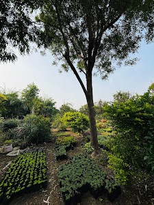 Budhla