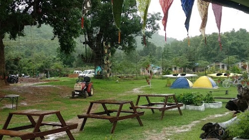 Camp Cherry Farm