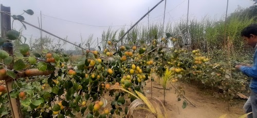 Farmer Mahendra