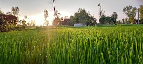 SHIVAM.AGRO.FUEL.INDESTRISE