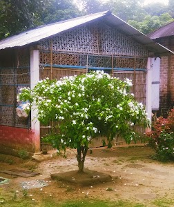 Manasha Mandir