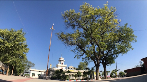 Gurudwara Sahib Dhan Dhan Baba Dhanna Shahid Ji