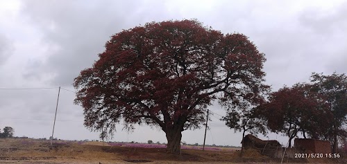 Devi Temple Hunderhi