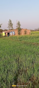 Barsaita