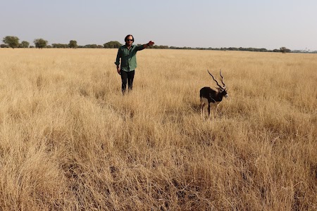 Talchhapar Sanctuary