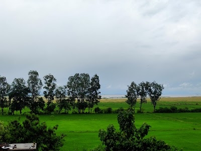 Palsada