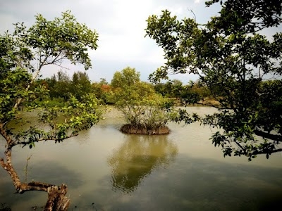 Piyali Island