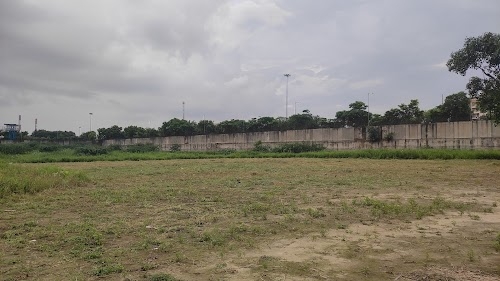 Ali Gaon, Ali