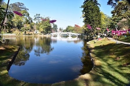 Ward's Lake