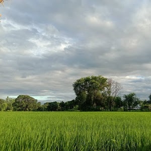 Tikar Chauraha
